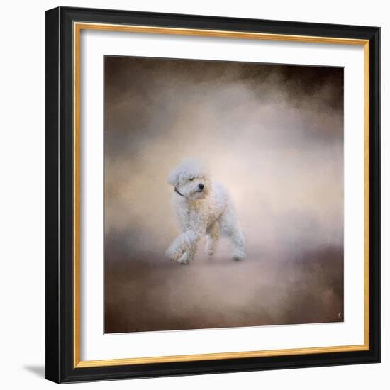 Bichon on the Go-Jai Johnson-Framed Giclee Print