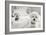 Bichons Black and White-Karyn Millet-Framed Photographic Print