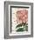 Bicolor Phlox Botany-Sue Schlabach-Framed Premium Giclee Print