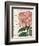 Bicolor Phlox Botany-Sue Schlabach-Framed Premium Giclee Print