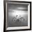 Bicycle 1B-Moises Levy-Framed Photographic Print