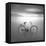 Bicycle 1B-Moises Levy-Framed Stretched Canvas