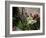 Bicycle Decorated with Flowers, Brantome, Dordogne, France, Europe-Peter Richardson-Framed Photographic Print