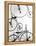 Bicycle Display at Swiss Transport Museum, Lucerne, Switzerland-Walter Bibikow-Framed Premier Image Canvas