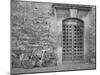 Bicycle & Door, Yverdon, Switzerland 04-Monte Nagler-Mounted Photographic Print