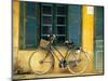 Bicycle in Hanoi, Vietnam-Tom Haseltine-Mounted Photographic Print