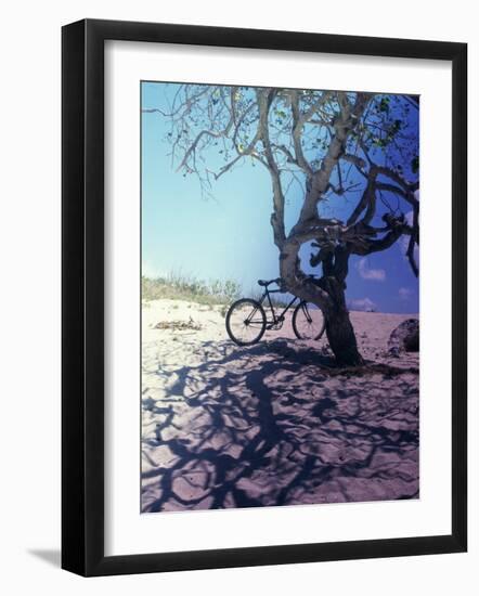 Bicycle Parked Against a Tree-null-Framed Photographic Print