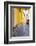 Bicycle parked at Via Degli Angeli, Lucca, Tuscany, Italy, Europe-John Guidi-Framed Photographic Print