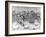 Bicycle Race at the Catford Cycling Club, 1892-null-Framed Photographic Print