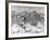 Bicycle Race at the Catford Cycling Club, 1892-null-Framed Photographic Print