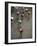 Bicycle Race-null-Framed Photographic Print