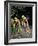 Bicycle Racers at Volunteer Park, Seattle, Washington, USA-William Sutton-Framed Photographic Print