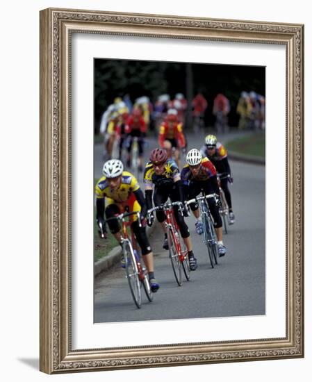 Bicycle Racers at Volunteer Park, Seattle, Washington, USA-William Sutton-Framed Photographic Print