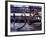 Bicycle Stuck in Frozen Canal, Amsterdam, Netherlands-Michele Molinari-Framed Photographic Print