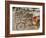 Bicycle Taxis, Khon Kaen, Thailand-Gavriel Jecan-Framed Photographic Print