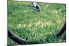 Bicycle Wheel in Grass-null-Mounted Photo