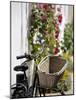 Bicycle with Basket and Hollyhocks, Ars-En-Re, Ile De Re, Charente-Maritime, France, Europe-Peter Richardson-Mounted Photographic Print