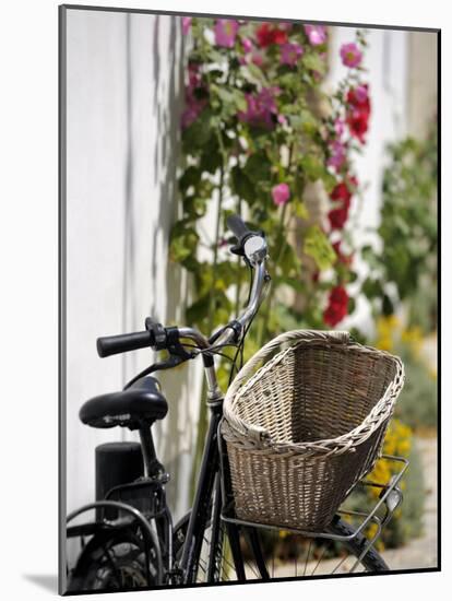 Bicycle with Basket and Hollyhocks, Ars-En-Re, Ile De Re, Charente-Maritime, France, Europe-Peter Richardson-Mounted Photographic Print