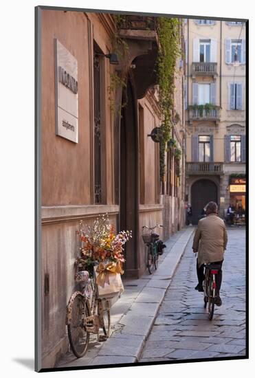 Bicycle with Flowers and Shopping Bags , Parma, Emilia Romagna, Italy-Peter Adams-Mounted Photographic Print