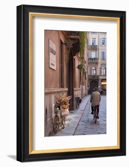 Bicycle with Flowers and Shopping Bags , Parma, Emilia Romagna, Italy-Peter Adams-Framed Photographic Print