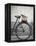 Bicycle with weathered basket-Jenny Elia Pfeiffer-Framed Premier Image Canvas