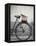 Bicycle with weathered basket-Jenny Elia Pfeiffer-Framed Premier Image Canvas