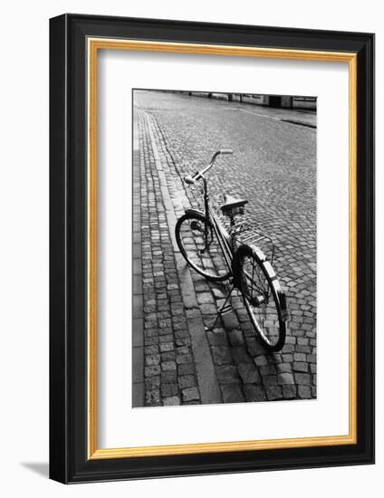 Bicycle-Walter Bibikow-Framed Photographic Print