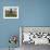 Bicycles by Tree and Couple Relaxing on the Grass, St. Pol De Leon, Carentac in Distance, Brittany-David Hughes-Framed Photographic Print displayed on a wall