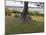 Bicycles by Tree and Couple Relaxing on the Grass, St. Pol De Leon, Carentac in Distance, Brittany-David Hughes-Mounted Photographic Print