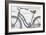 Bicycles IV-Daphne Brissonnet-Framed Art Print