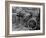 Bicycles Leaning Against the Concrete Wall-Carl Mydans-Framed Photographic Print