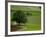 Bicycling in Basel Land, Jura Mountains, Switzerland-David Barnes-Framed Photographic Print