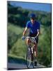 Bicyclist on Road, Napa Valley, CA-Robert Houser-Mounted Photographic Print