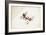 Bicyclist-Jason Ratliff-Framed Giclee Print