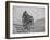 Bicyclists Competing at the Olympics-George Silk-Framed Photographic Print