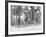 Bicyclists in Central Park-null-Framed Photographic Print