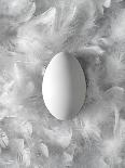 Egg on Feathers, Conceptual Image-Biddle Biddle-Photographic Print
