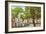 Bienville Square, Mobile, Alabama-null-Framed Art Print