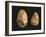 Bifaces, Kenya, Paleolithic, Prehistory-null-Framed Giclee Print