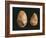 Bifaces, Kenya, Paleolithic, Prehistory-null-Framed Giclee Print