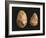 Bifaces, Kenya, Paleolithic, Prehistory-null-Framed Giclee Print