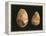 Bifaces, Kenya, Paleolithic, Prehistory-null-Framed Premier Image Canvas