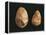 Bifaces, Kenya, Paleolithic, Prehistory-null-Framed Premier Image Canvas