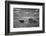 Biffin Ranch-Alfred Eisenstaedt-Framed Photographic Print