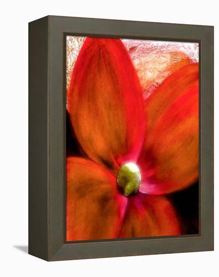 Big Abstract Flower-Ruth Palmer 2-Framed Stretched Canvas