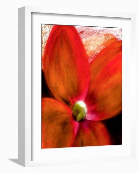 Big Abstract Flower-Ruth Palmer 2-Framed Art Print