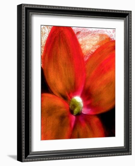 Big Abstract Flower-Ruth Palmer 2-Framed Art Print