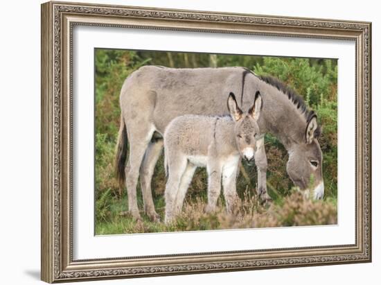 Big and Small-Matt Roseveare-Framed Giclee Print