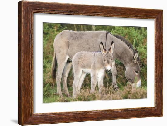 Big and Small-Matt Roseveare-Framed Giclee Print