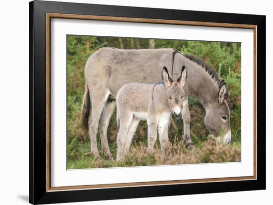 Big and Small-Matt Roseveare-Framed Giclee Print